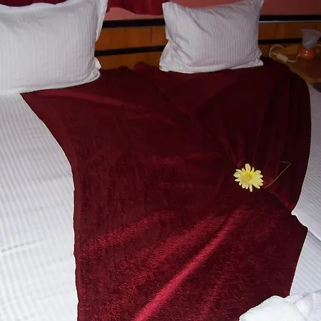 Pensjonat Nelly Rawda