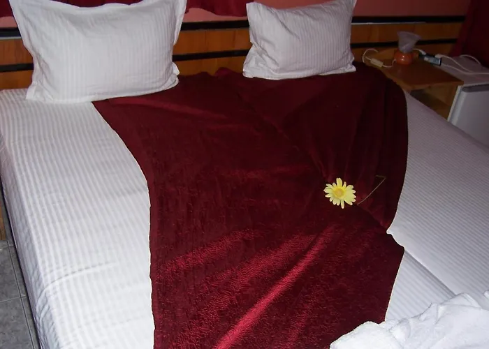 Pensjonat Nelly Rawda